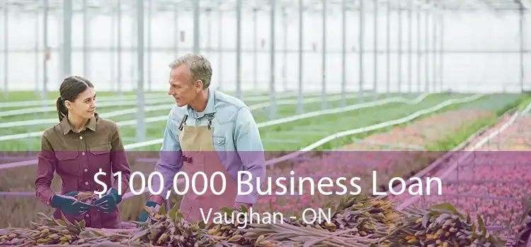 $100,000 Business Loan Vaughan - ON