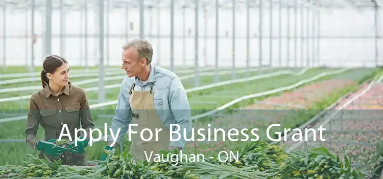 Apply For Business Grant Vaughan - ON